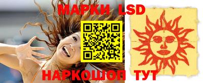 спиды Кингисепп