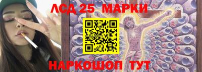 спиды Кингисепп