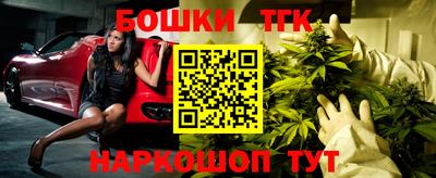 спиды Кингисепп