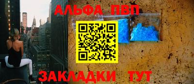 спиды Кингисепп