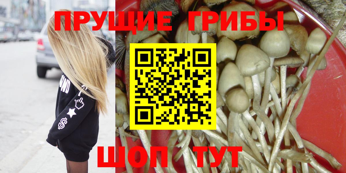 Галлюциногенные грибы Magic Shrooms  Вход с VPN  Кохма 